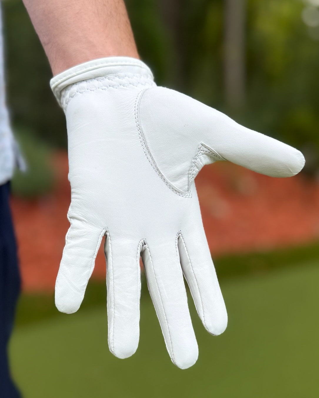 Par+ Premium Golf Glove - 100% AAA Cabretta Leather | Men's Tour-Grade Fit | Left Hand (For RH Golfer)